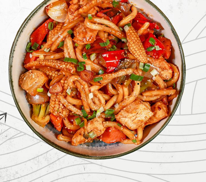 UDON NOODLE